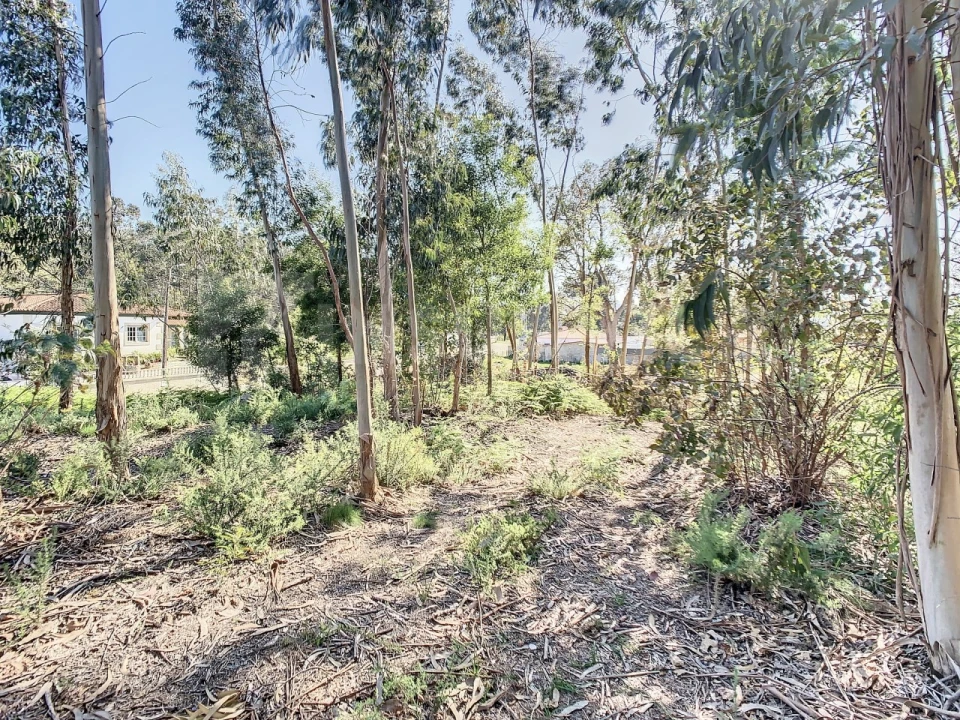 Terreno para Venda em Vilar de Mouros Foto 21