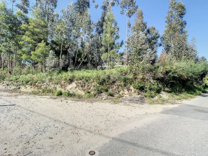 Terreno para Venda em Vilar de Mouros Foto 15