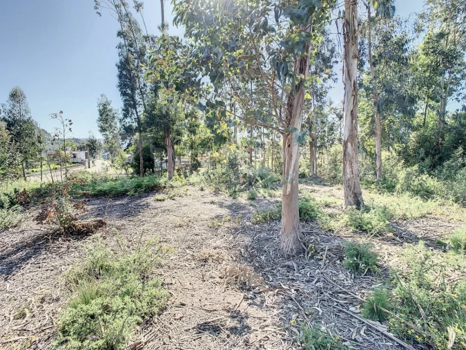 Terreno para Venda em Vilar de Mouros Foto 17