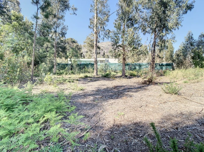 Terreno para Venda em Vilar de Mouros Foto 19