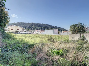 Terreno para Venda em Moledo e Cristelo