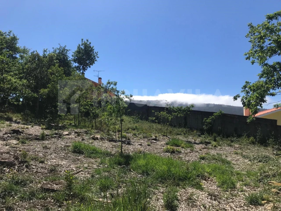 Terreno para Venda em Venade e Azevedo Foto 11