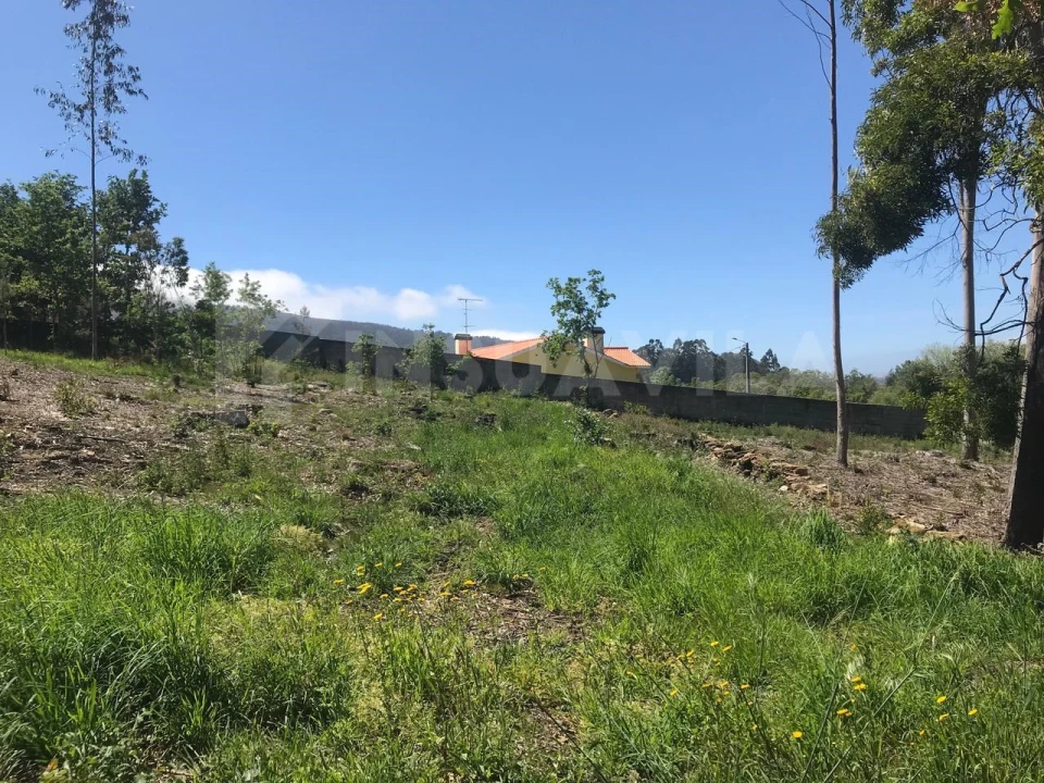 Terreno para Venda em Venade e Azevedo Foto 13
