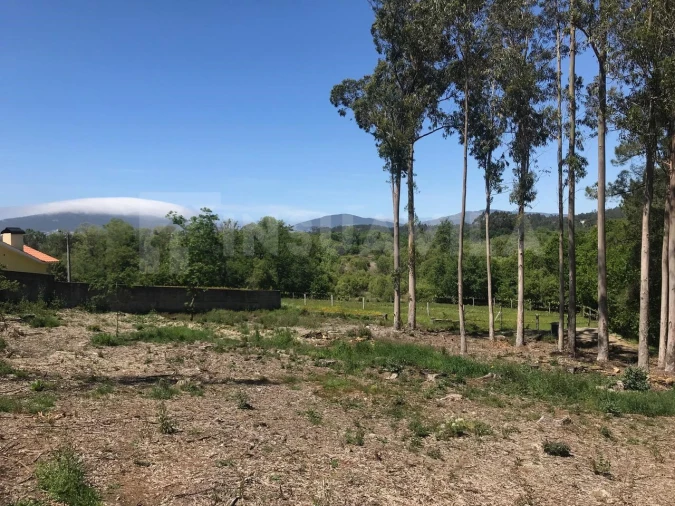 Terreno para Venda em Venade e Azevedo Foto 17
