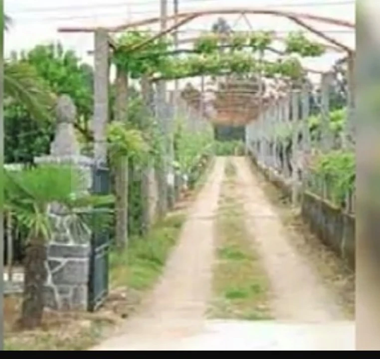Terreno para Venda em Pinheiros Foto 4