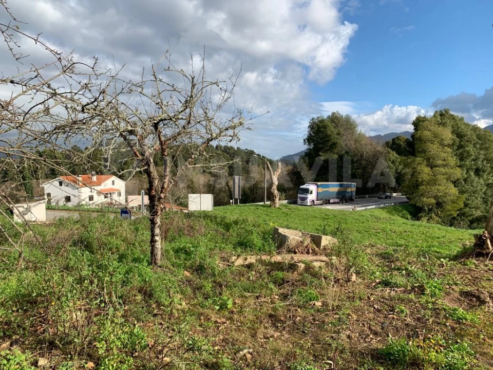 Terreno para Venda em Gondarem Foto 9