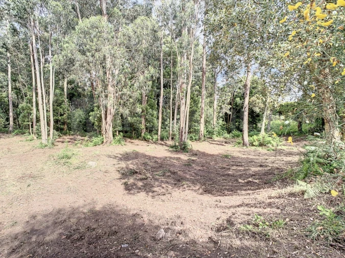 Terreno para Venda em Vilar de Mouros Foto 11