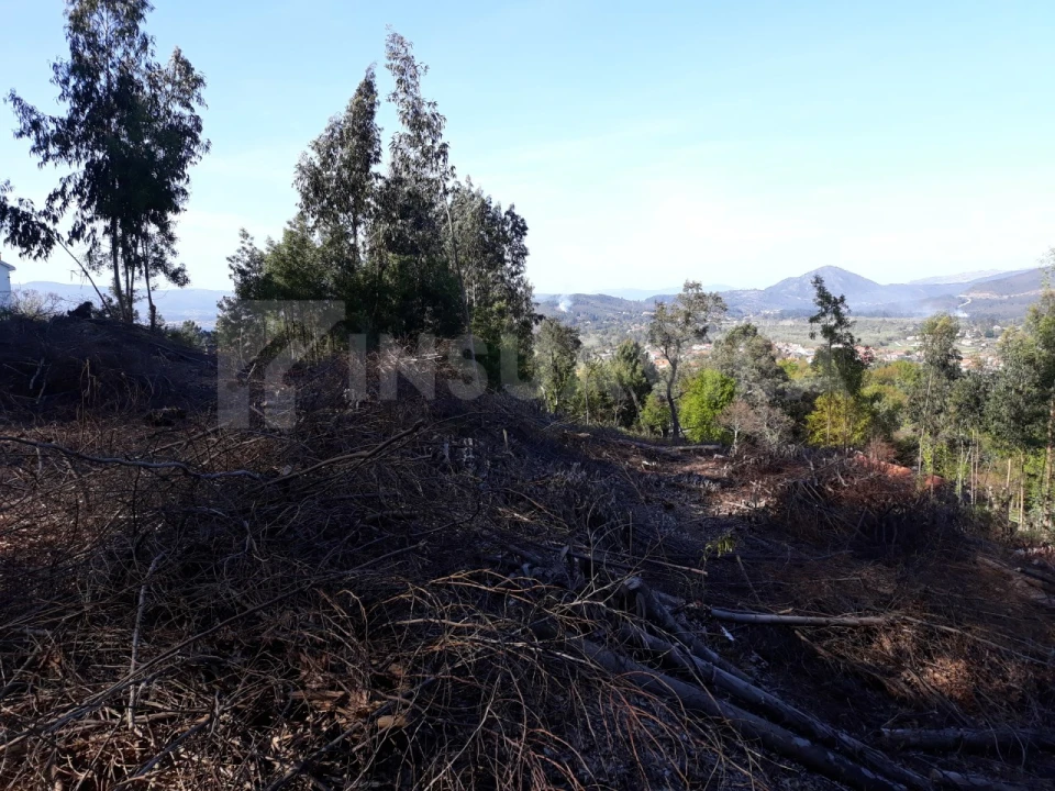 Terreno para Venda em Venade e Azevedo Foto 2
