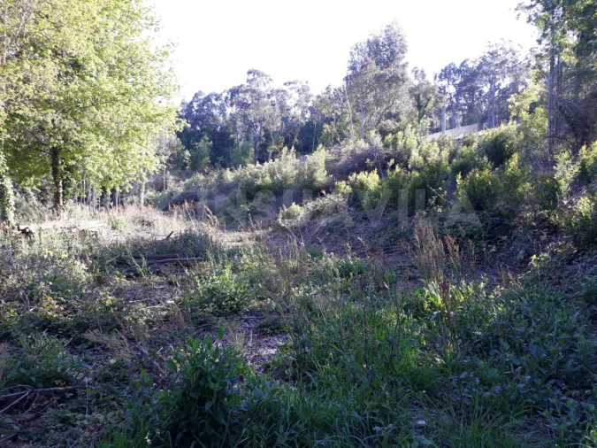 Terreno para Venda em Venade e Azevedo