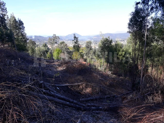 Terreno para Venda em Venade e Azevedo Foto 4