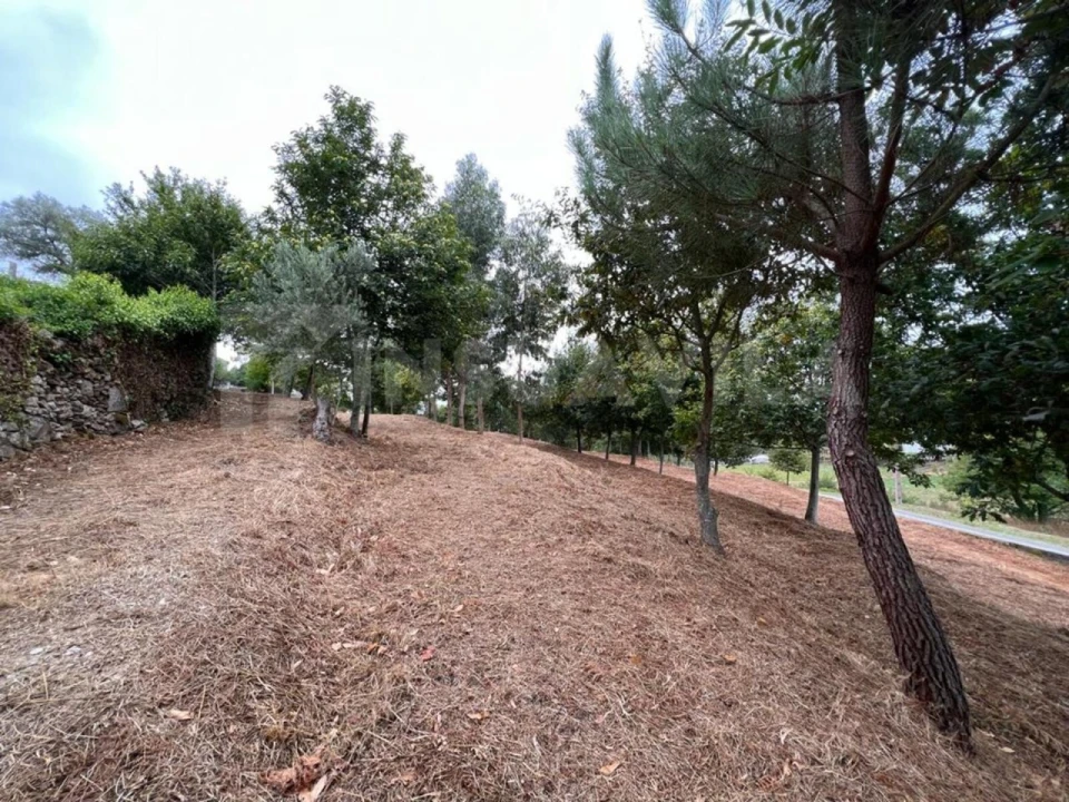 Terreno para Venda em Caminha (Matriz) e Vilarelho Foto 6