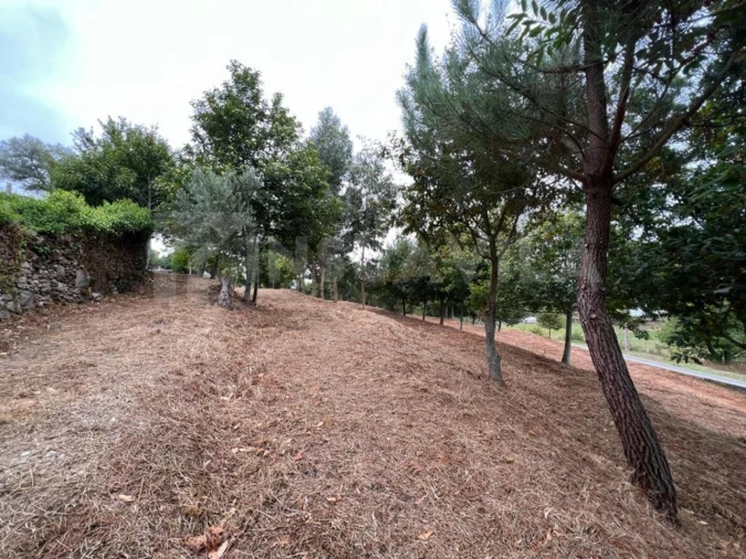 Terreno para Venda em Caminha (Matriz) e Vilarelho Foto 6