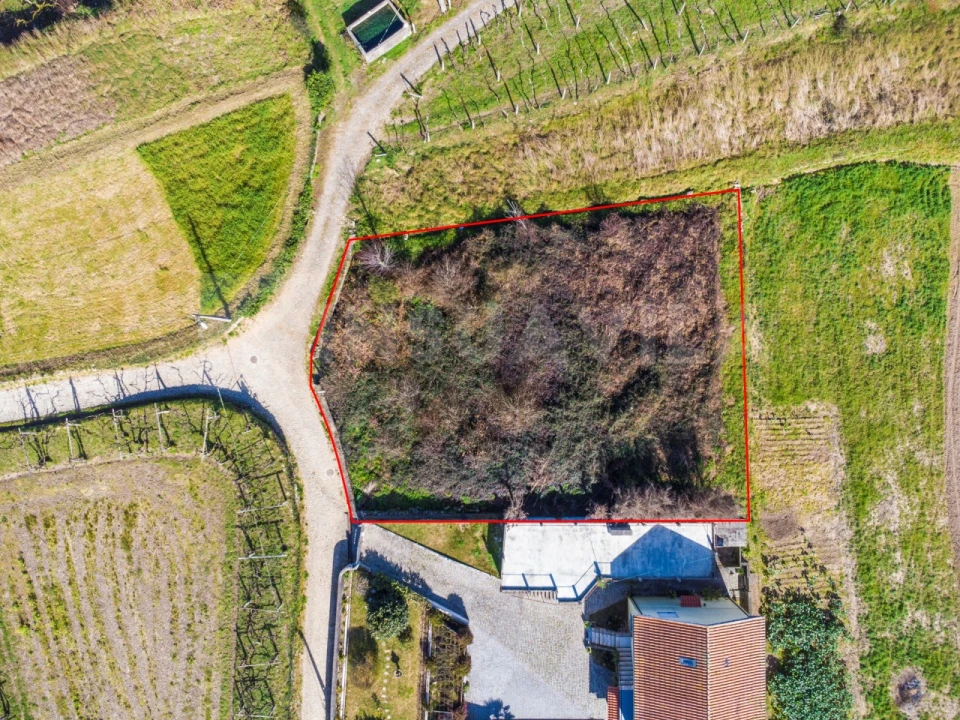 Terreno para Venda em Venade e Azevedo Foto 4