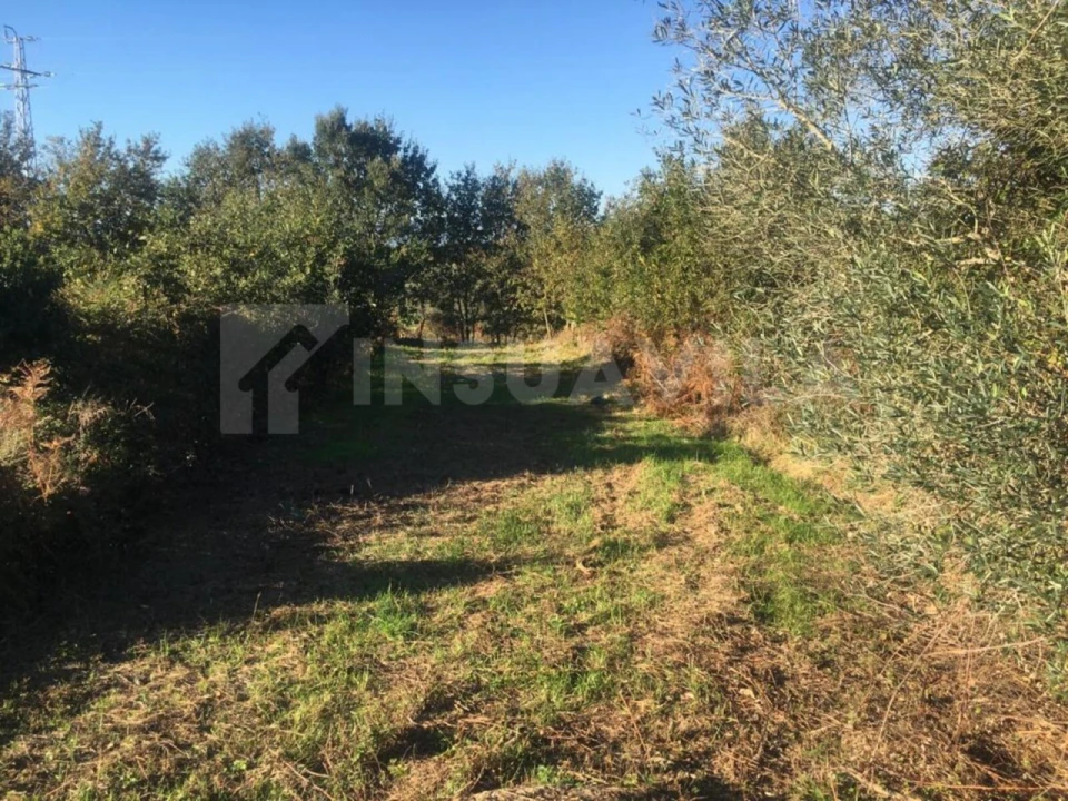 Terreno para Venda em Cerdal Foto 9