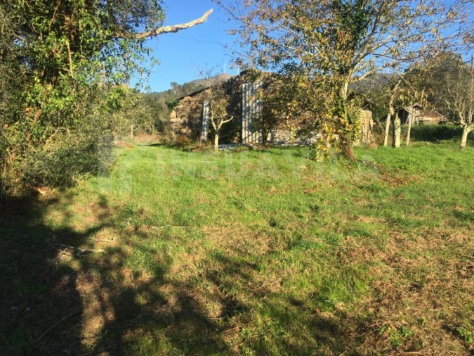 Terreno para Venda em Cerdal