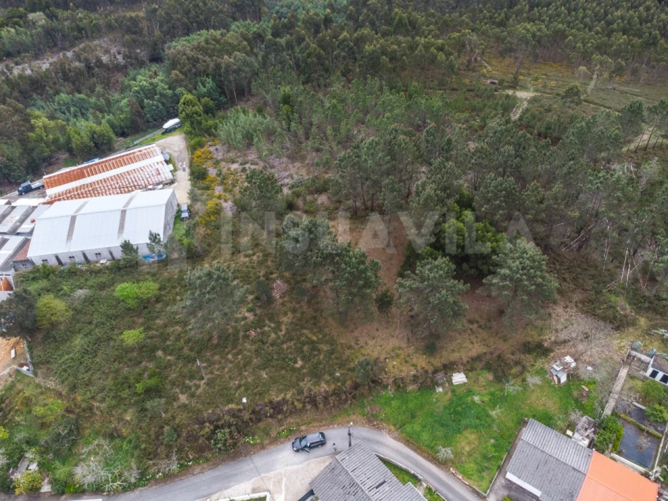 Terreno para Venda em Seixas Foto 8