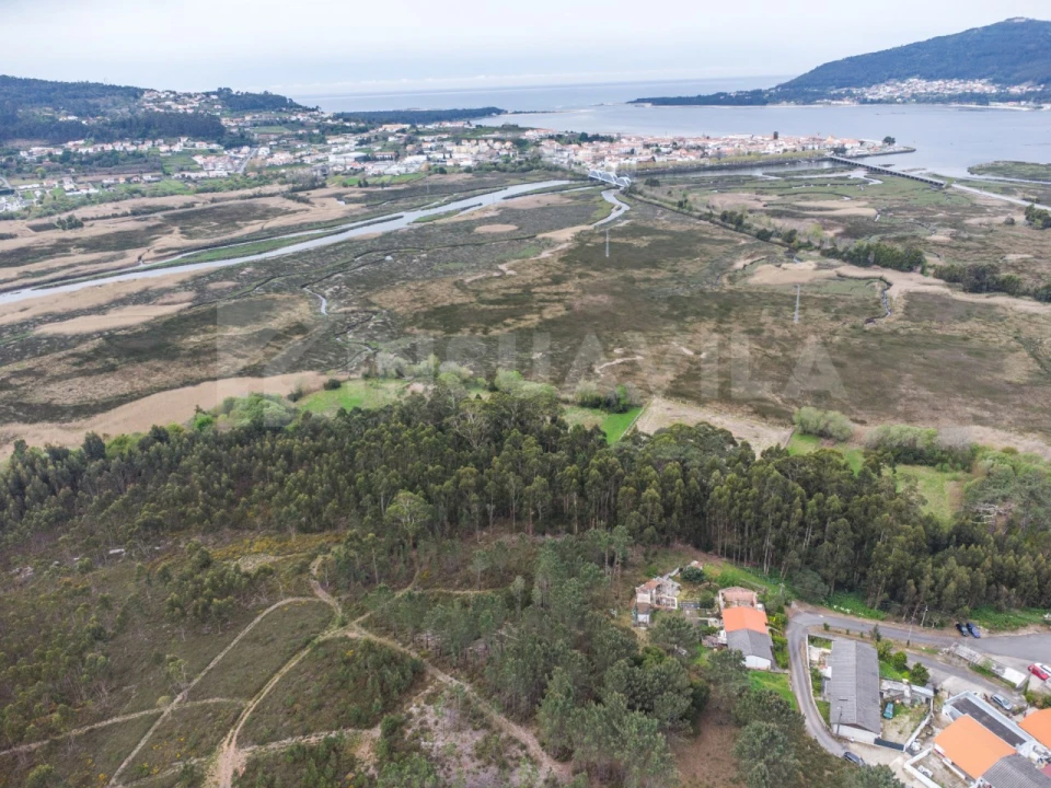 Terreno para Venda em Seixas Foto 10