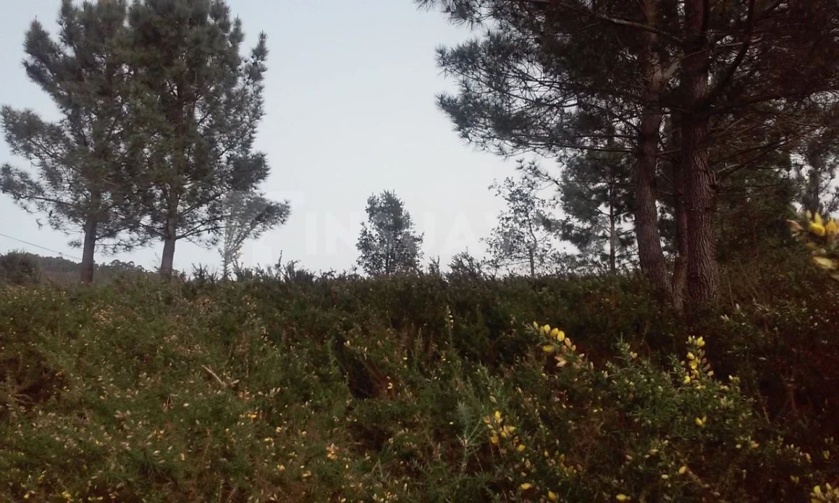 Terreno para Venda em Seixas Foto 9