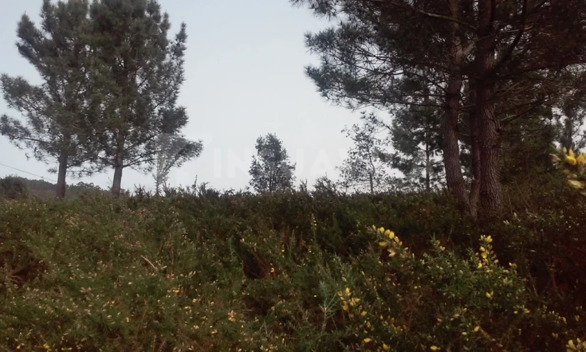 Terreno para Venda em Seixas Foto 3