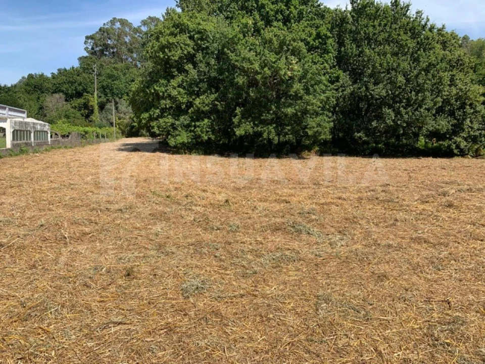 Terreno para Venda em Seixas Foto 11