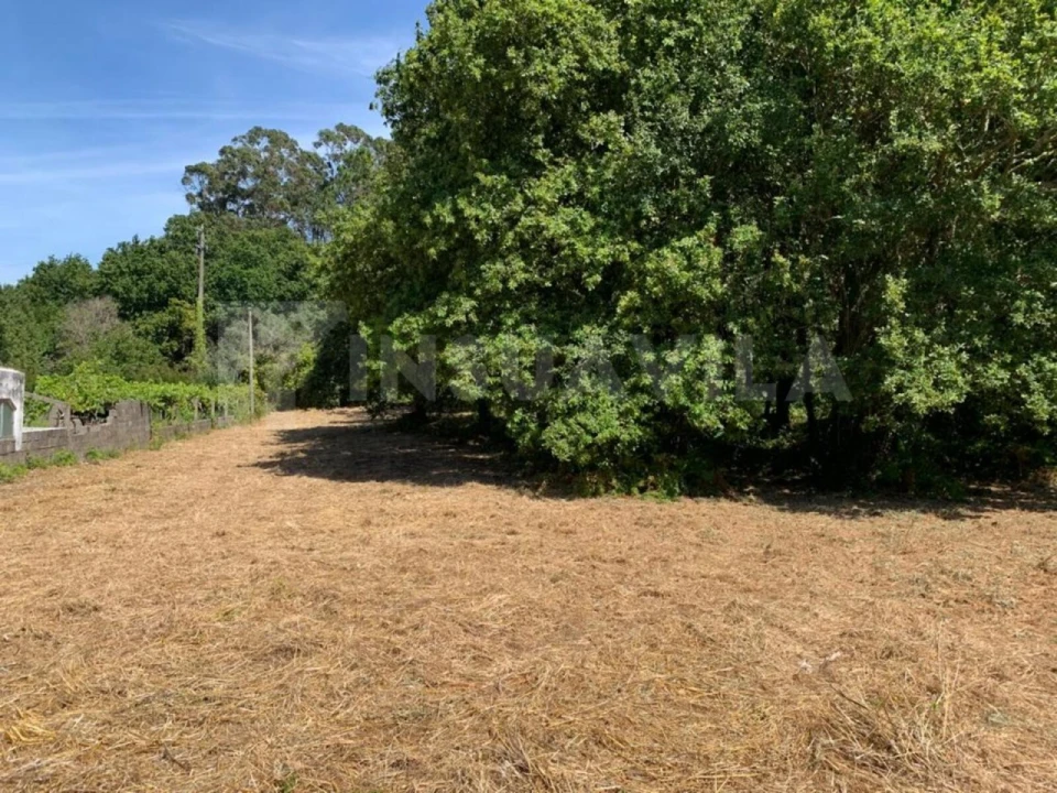 Terreno para Venda em Seixas Foto 12