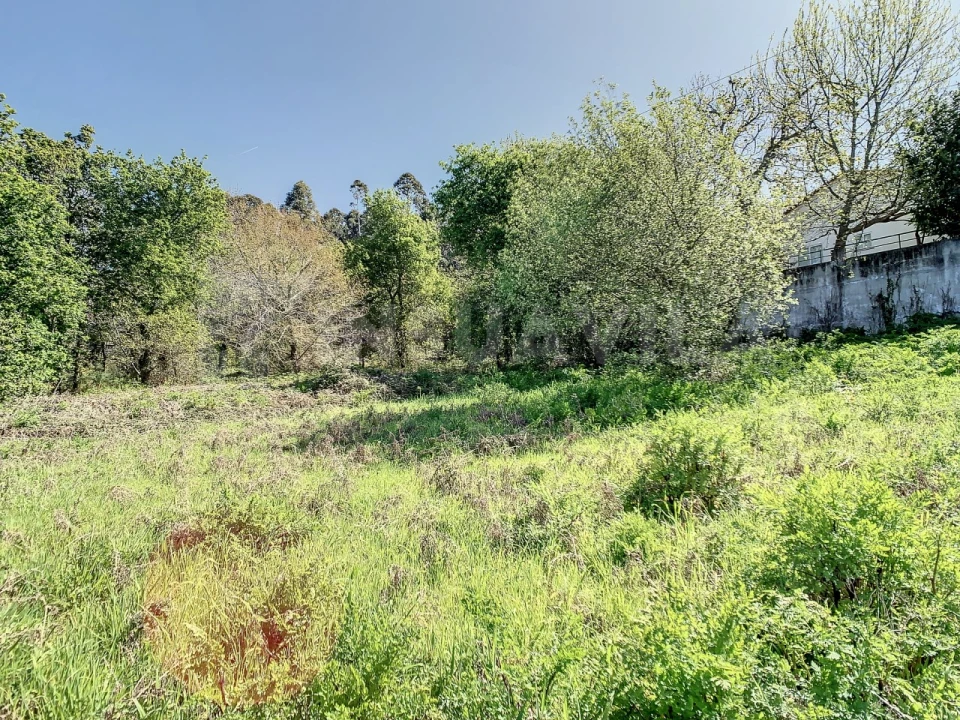 Terreno para Venda em Seixas Foto 24