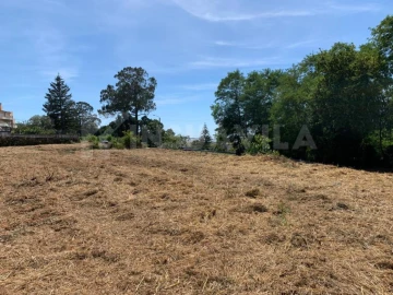 Terreno para Venda em Seixas