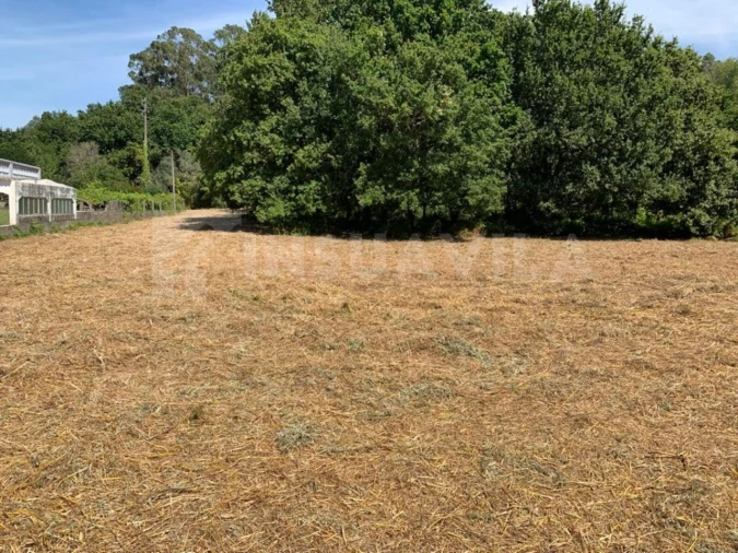 Terreno para Venda em Seixas Foto 11