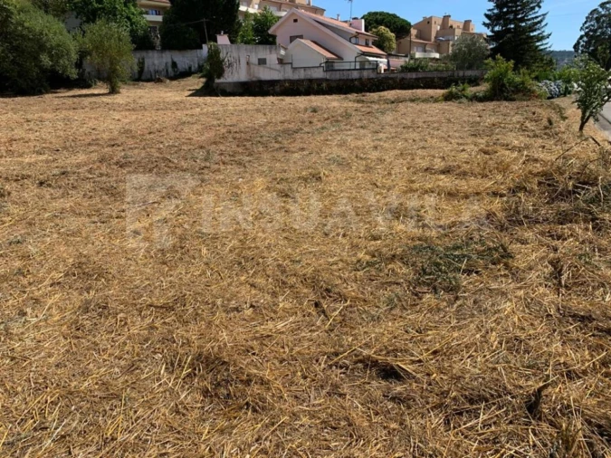 Terreno para Venda em Seixas Foto 14