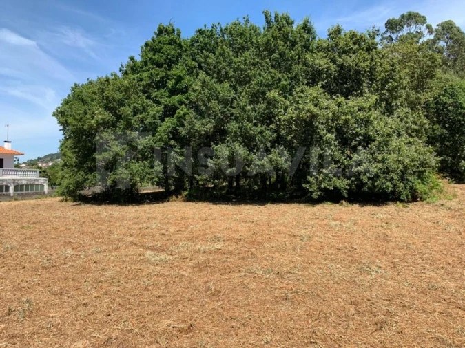 Terreno para Venda em Seixas Foto 16