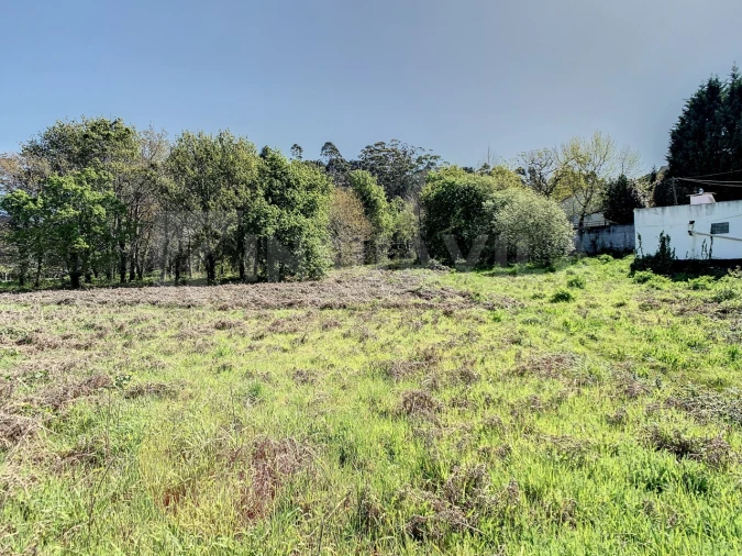Terreno para Venda em Seixas Foto 17