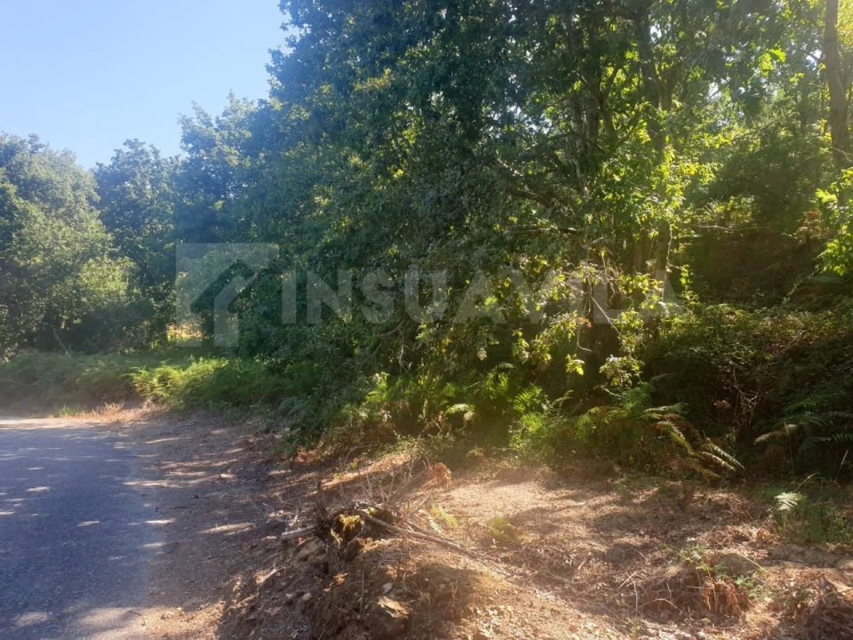 Terreno para Venda em Seixas Foto 11
