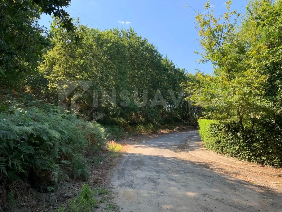 Terreno para Venda em Seixas Foto 13