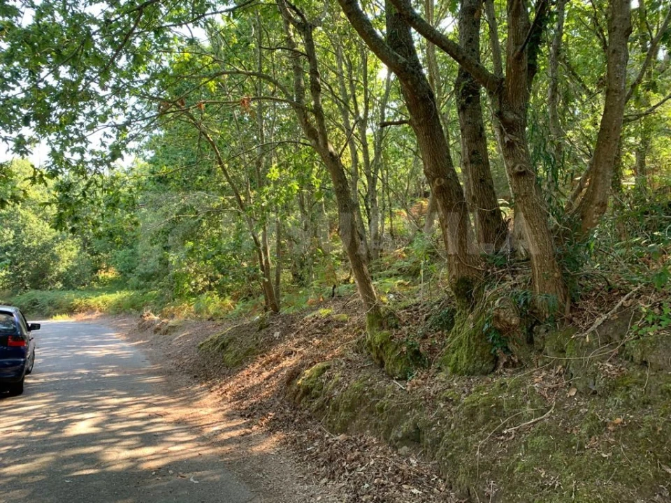 Terreno para Venda em Seixas Foto 15
