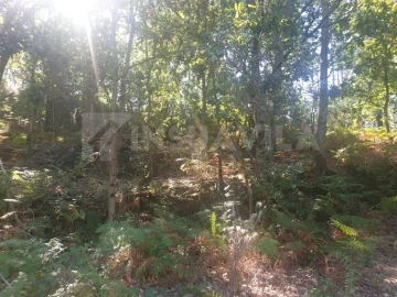 Terreno para Venda em Seixas