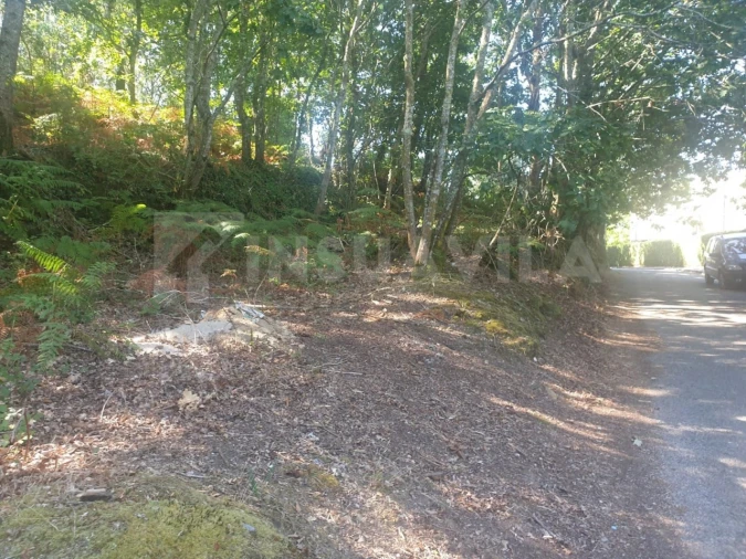 Terreno para Venda em Seixas Foto 9