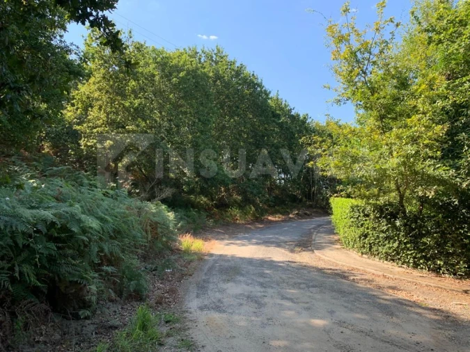 Terreno para Venda em Seixas Foto 13
