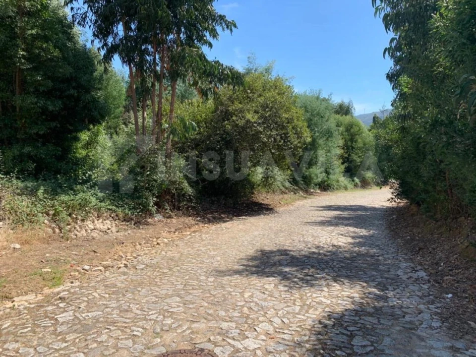 Terreno para Venda em Seixas Foto 10