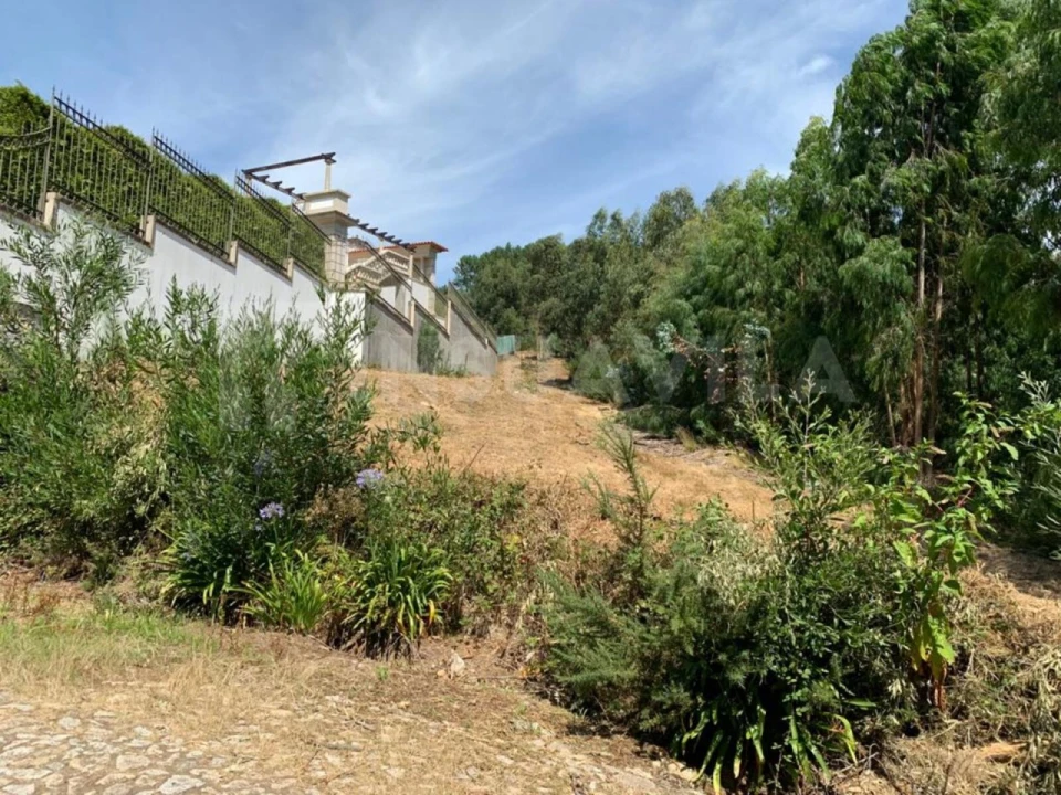 Terreno para Venda em Seixas Foto 12