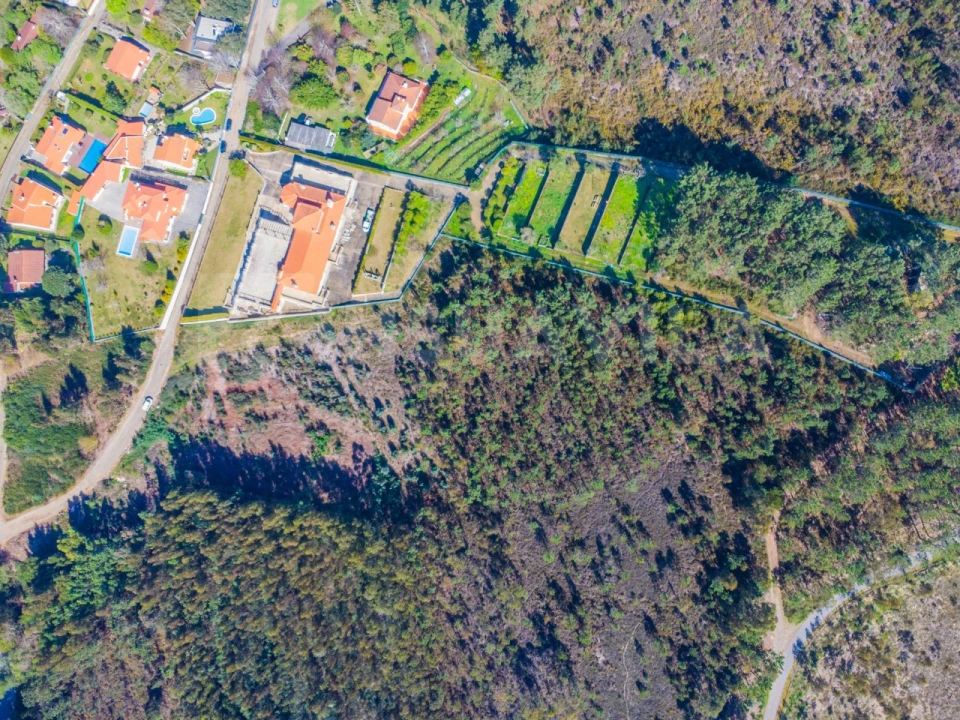 Terreno para Venda em Seixas Foto 5