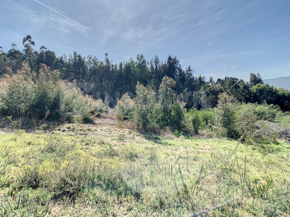 Terreno para Venda em Seixas Foto 6