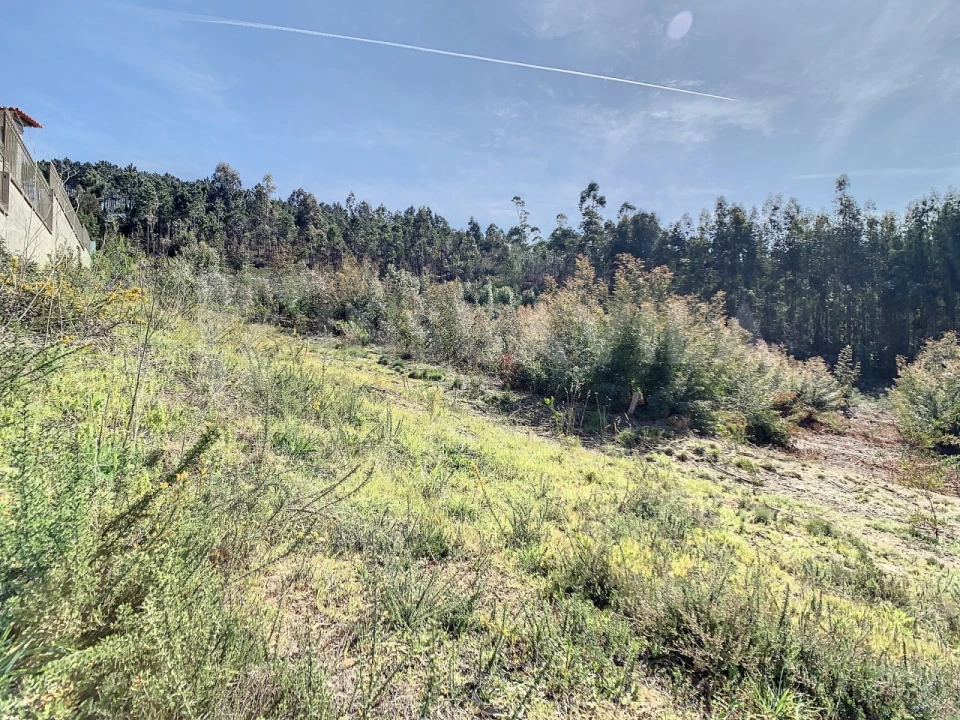 Terreno para Venda em Seixas Foto 7