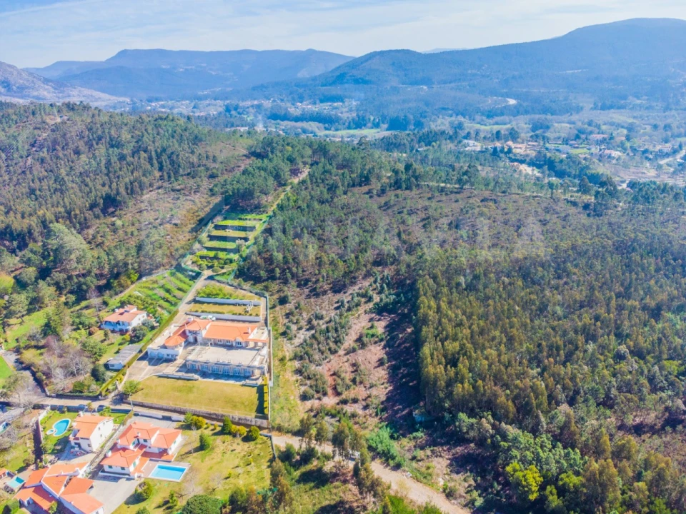 Terreno para Venda em Seixas Foto 14