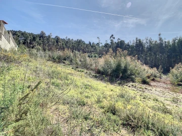 Terreno para Venda em Seixas