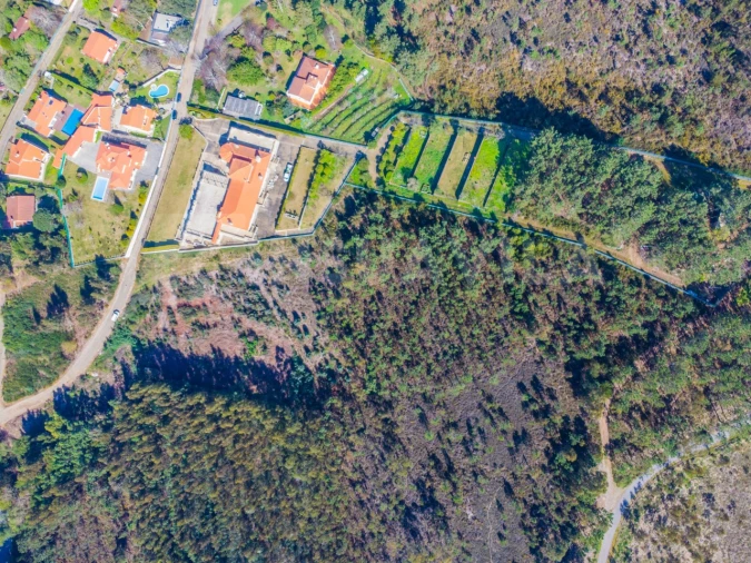 Terreno para Venda em Seixas Foto 5
