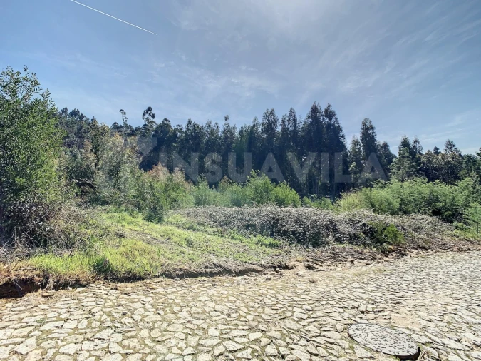 Terreno para Venda em Seixas Foto 9
