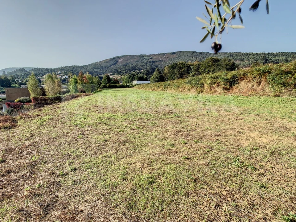 Terreno para Venda em Venade e Azevedo Foto 6