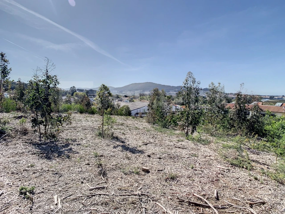 Terreno para Venda em Seixas Foto 9