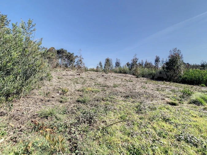 Terreno para Venda em Seixas Foto 10