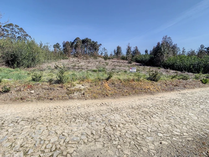 Terreno para Venda em Seixas Foto 13